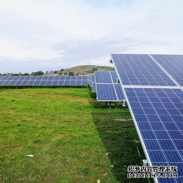  Tiny Robots, Big Relief: University of Waterloo Pioneers Ne